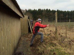 Bild 9