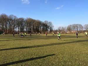 Bild 14